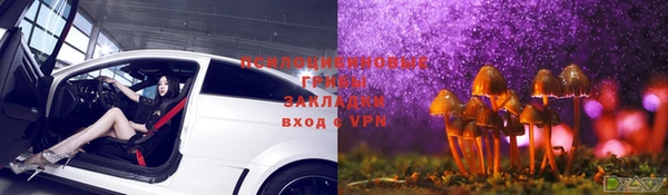гидропоника Абаза