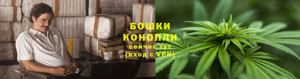 гидропоника Абаза