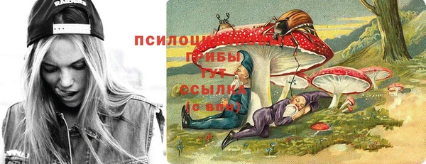 гидропоника Абаза