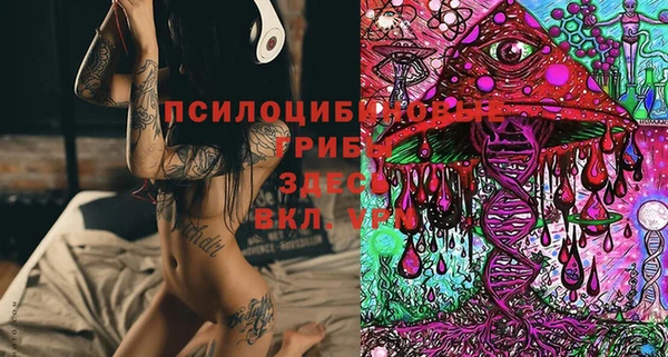 гидропоника Абаза