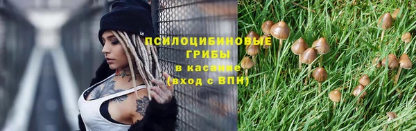 гидропоника Абаза