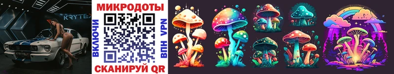 купить наркотики цена  Анапа  Псилоцибиновые грибы Psilocybe 