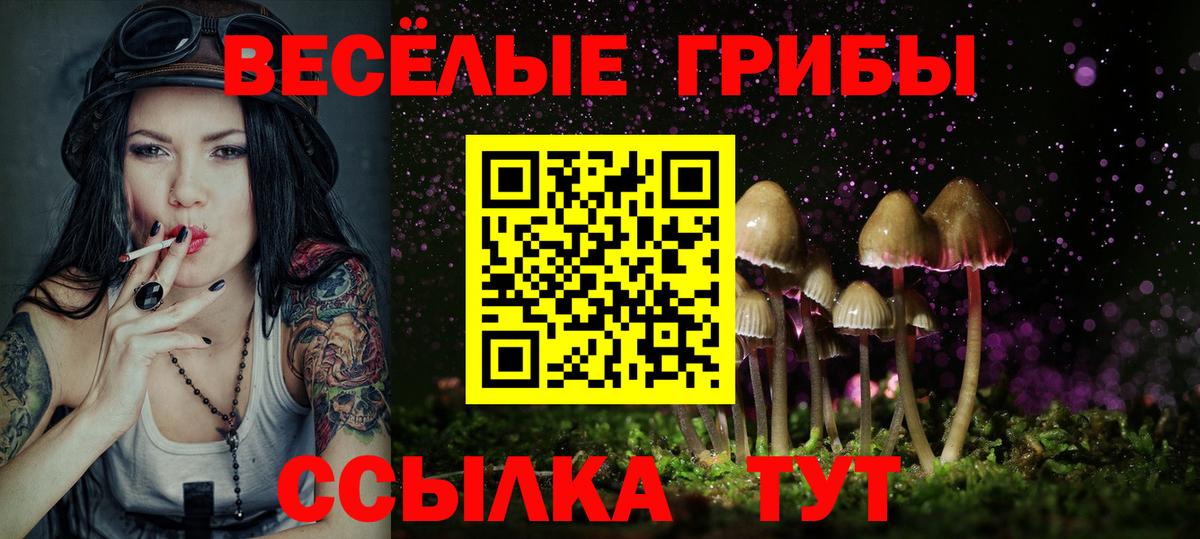 Галлюциногенные грибы Cubensis Анапа