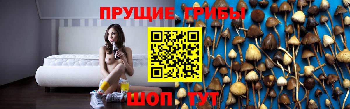 Анапа  Псилоцибиновые грибы GOLDEN TEACHER  где купить наркотик  Вход с VPN 